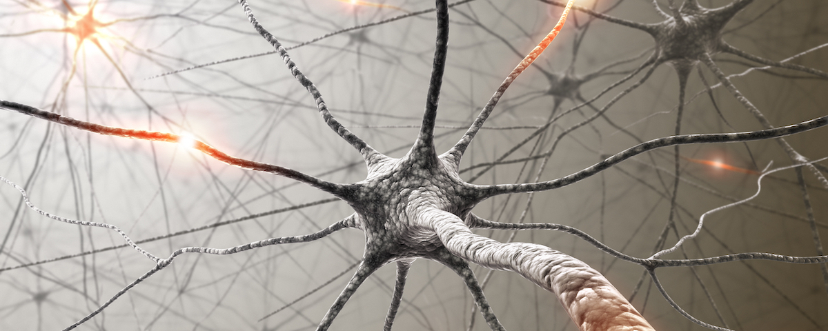 Neural pathways